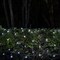 5mm 4' x 6' Cool White SoftTwinkle LED Net Lights, Green Wire